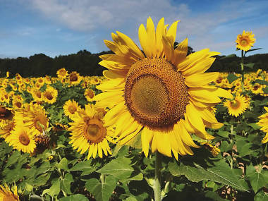 Time Out: 14 Essential Things to do in Raleigh